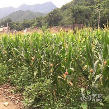 北京店小二儿客栈酒店提供图片