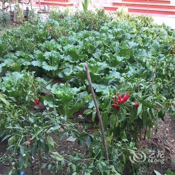 北京店小二儿客栈酒店提供图片