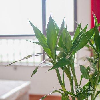 青岛幸福美满公寓(鹿角湾村分店)酒店提供图片