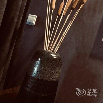 西安张小豪公寓酒店提供图片