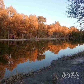 额济纳旗鑫泰宾馆酒店提供图片