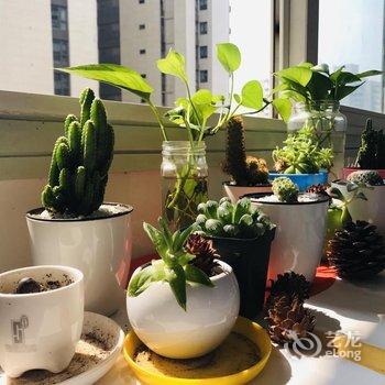 重庆重来音乐青年旅舍酒店提供图片