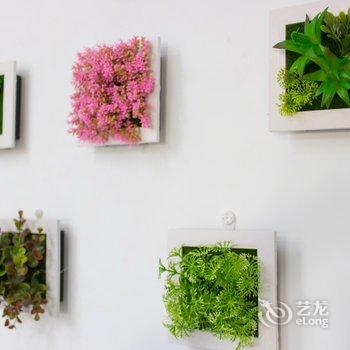 西安暖树民宿酒店提供图片