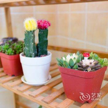 西安暖树民宿酒店提供图片