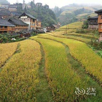 龙脊梯田忆闲居客栈酒店提供图片