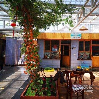 北京老怀树特色民宿酒店提供图片