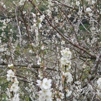 广州魔方公寓(客村店)酒店提供图片