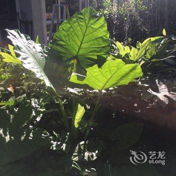 温州levin公寓酒店提供图片