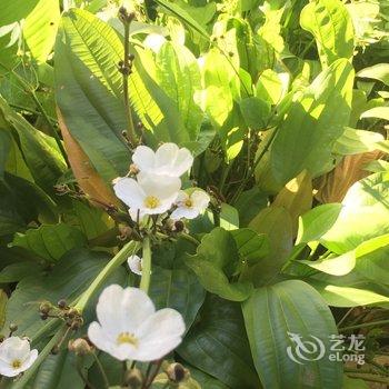 温州levin公寓酒店提供图片