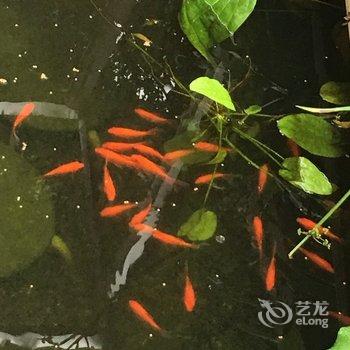 温州levin公寓酒店提供图片