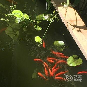温州levin公寓酒店提供图片