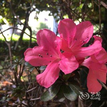 温州levin公寓酒店提供图片