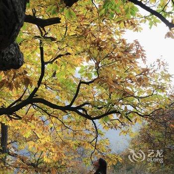 北京驿雲·kids童话镇酒店提供图片