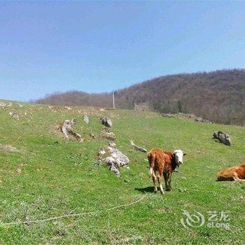 恩施涵香居客栈酒店提供图片