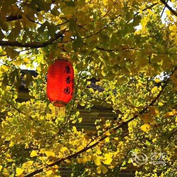 腾冲南方·有杏客栈(银杏村店)酒店提供图片