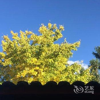 腾冲南方·有杏客栈(银杏村店)酒店提供图片