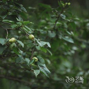 荔波水乡颐舍乡愁民宿酒店提供图片