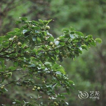 荔波水乡颐舍乡愁民宿酒店提供图片