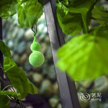 青岛天晓公寓酒店提供图片