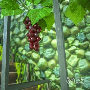 青岛天晓公寓酒店提供图片