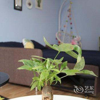 成都静思的树洞小屋酒店提供图片