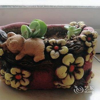 青岛依山住城民宿酒店提供图片