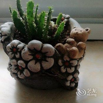 青岛依山住城民宿酒店提供图片