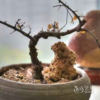 家之安栖公寓(西安龙首村店)酒店提供图片