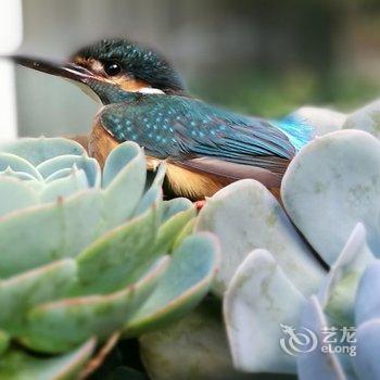 大理云居海景设计公寓酒店提供图片