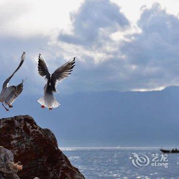 你来我在海景客栈酒店提供图片