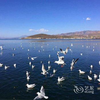 你来我在海景客栈酒店提供图片