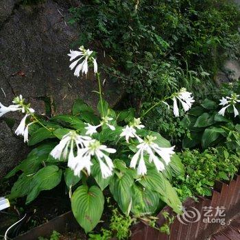 北京WE爱主题民宿酒店提供图片