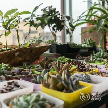 重庆大象之家普通公寓(北城路店)酒店提供图片