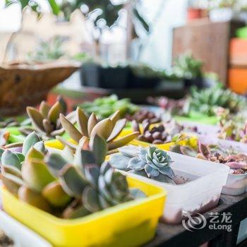 重庆大象之家普通公寓(北城路店)酒店提供图片