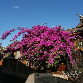 丽江碧水兰亭客栈酒店提供图片