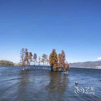 大理蜗米居客栈酒店提供图片