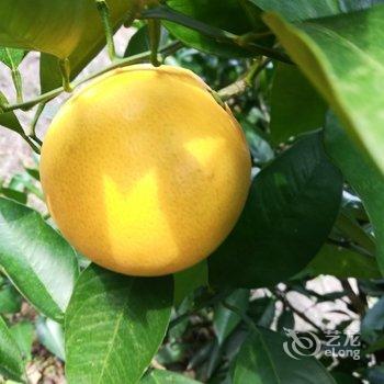 成都善美源特色民宿酒店提供图片