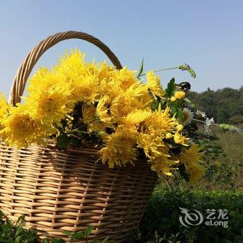成都善美源特色民宿酒店提供图片