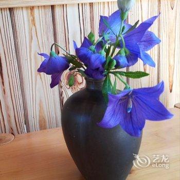 成都善美源特色民宿酒店提供图片