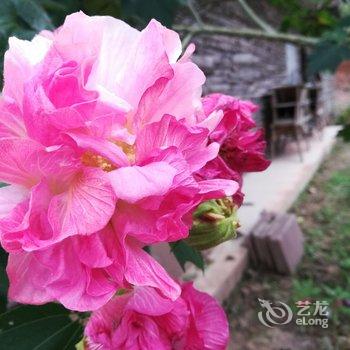 成都善美源特色民宿酒店提供图片