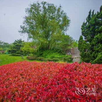 快乐前行公寓(青岛革命烈士纪念馆店)酒店提供图片