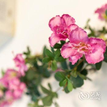 西安热心市民韩师傅公寓酒店提供图片