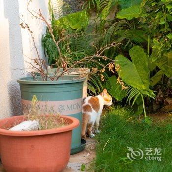 涠洲岛鉴容居民宿酒店提供图片