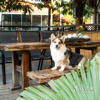 涠洲岛鉴容居民宿酒店提供图片