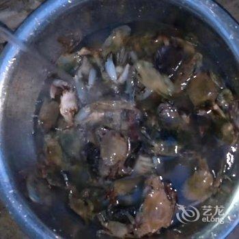 湛江硇洲岛祥龙渔家乐酒店提供图片