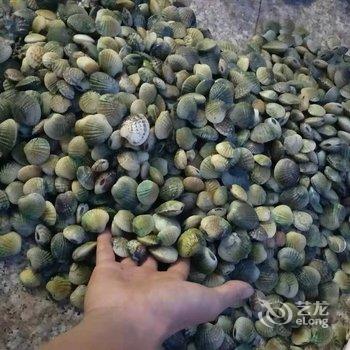 湛江硇洲岛祥龙渔家乐酒店提供图片