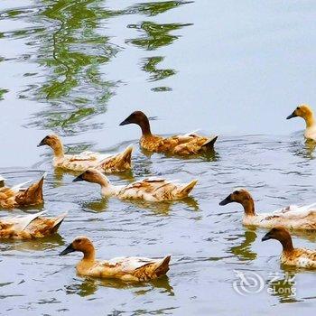 常熟蒋巷书院民宿酒店提供图片