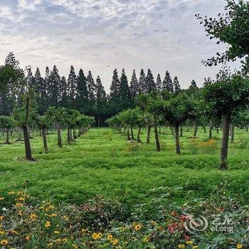 常熟蒋巷书院民宿酒店提供图片