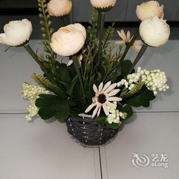 西安越越妈公寓酒店提供图片
