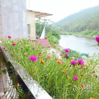 上林逸生活公寓酒店提供图片